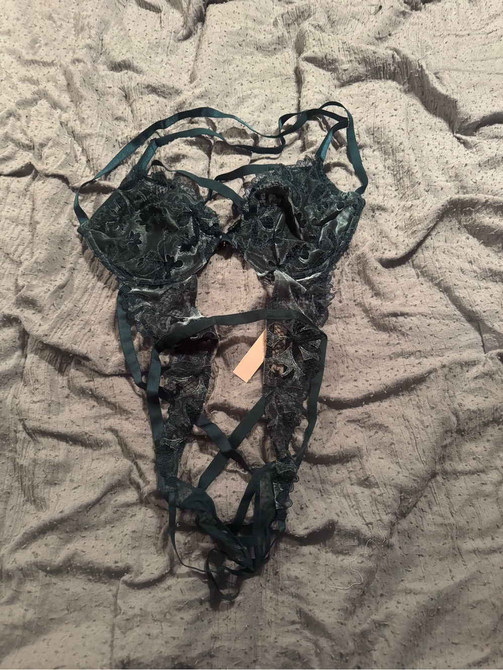 Victoria’s Secret Delicate Lace Bodysuit - Women Intimates & Sleepwear